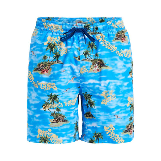 Quiksilver Ανδρικό μαγιό Everyday Straight Volley 17" - Board Shorts